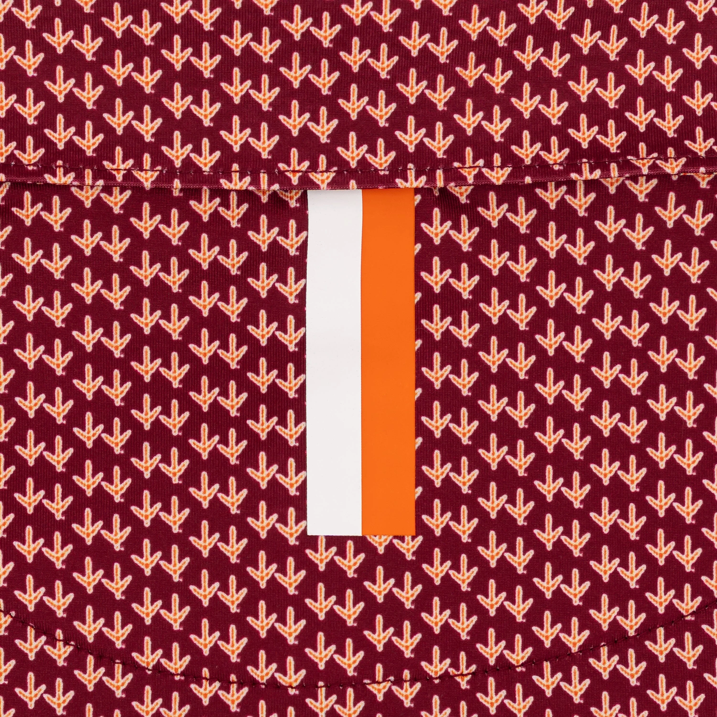 The Virginia Tech Hokie? Tracks - Image 4